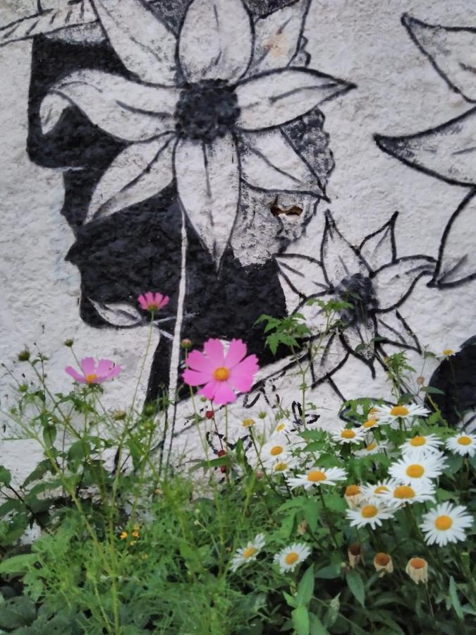 Hostel Kosmos Ibicoara Zewnętrze zdjęcie